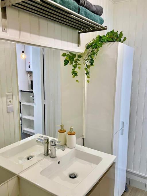 Studio Verdoyant Avec Exterieur Maisons-Alfort Εξωτερικό φωτογραφία